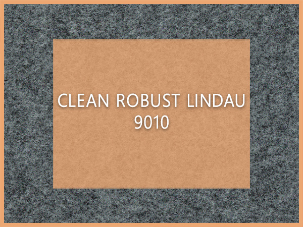 Clean Robust Lindau 9010